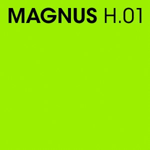 buy-magnus-h01